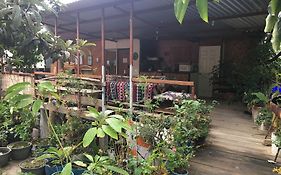 La Casa Del Nenufar